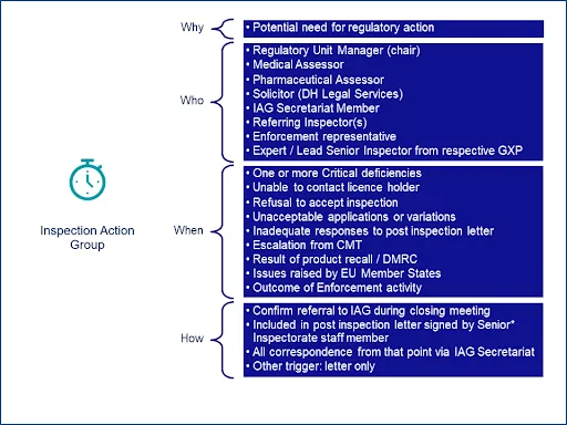 FIGURE 3 | Inspection Action Group Process