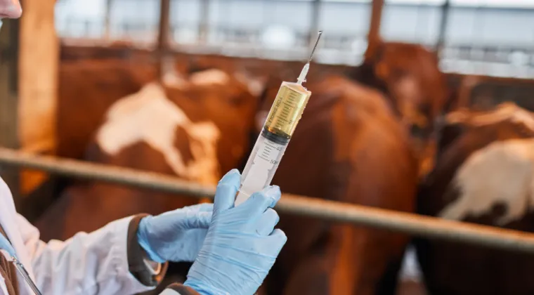 What Does USDA’s Center for Veterinary Biologics Regulate?