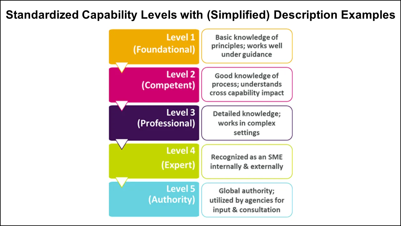 Figure 3 Standardized Capability Levels