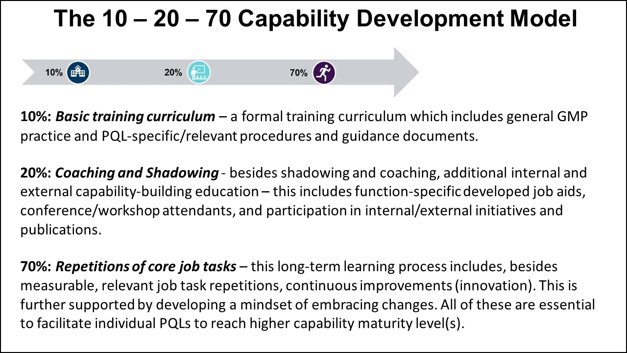 Figure 1 Capability Model