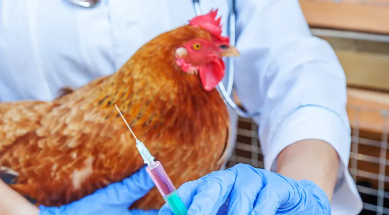 Inside USDA’s Center for Veterinary Biologics: Part III, A Deep Dive on 9 CFR Expectations