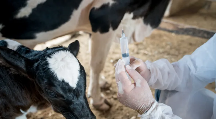 Inside USDA’s Center for Veterinary Biologics: Part I, Intro to CVB