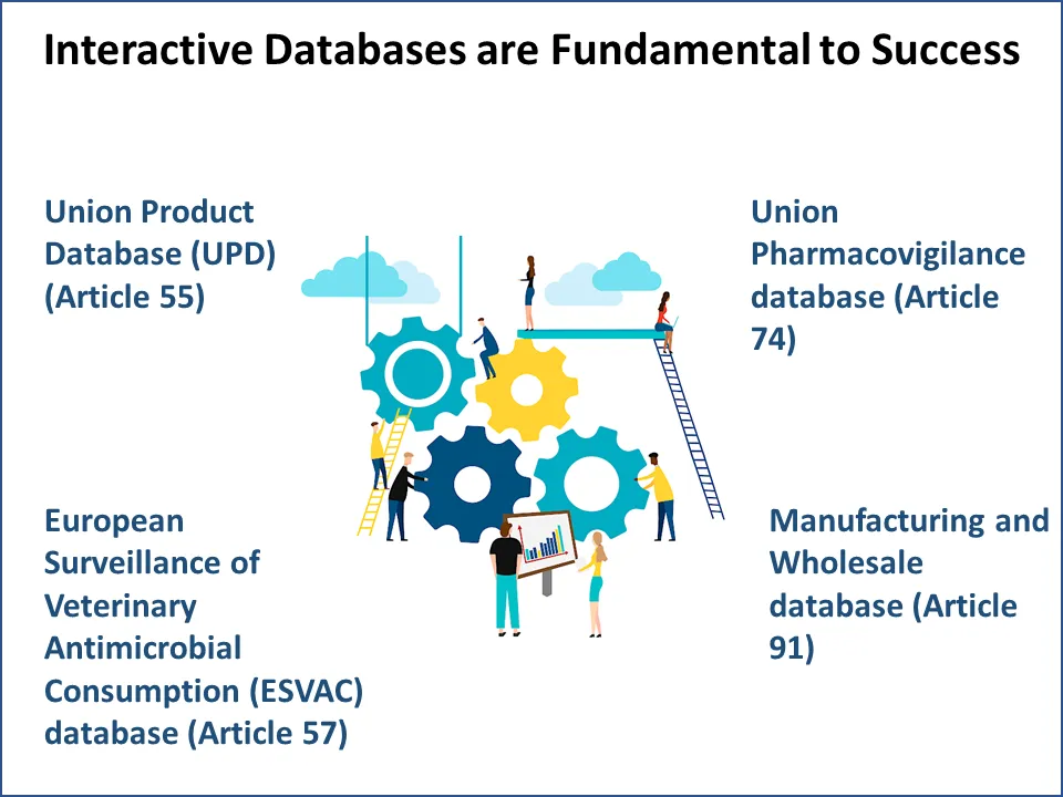 Figure 2 Interactive Databases are Fundamental to Success