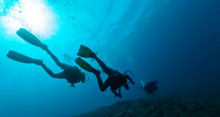 What a Scuba Diving Incident Can Teach Pharma About Quality Systems