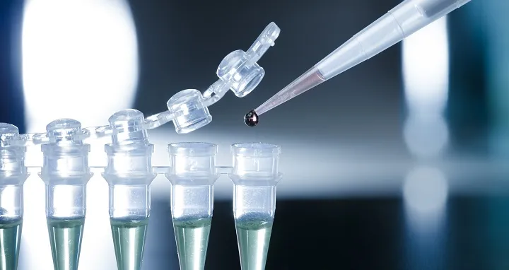 Avoiding and Reacting to Human Tissue, Cell, and Gene Therapy Enforcement Actions: Communication is Key