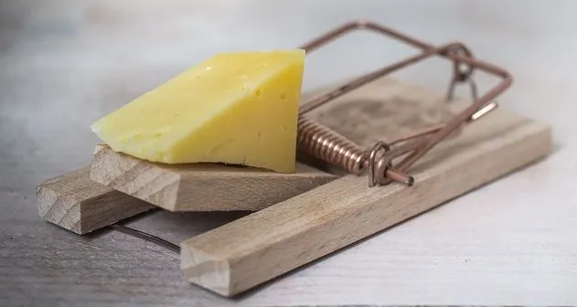 Deep Dive into FSMA Foreign Supplier Verification: 5 Pitfalls to Avoid