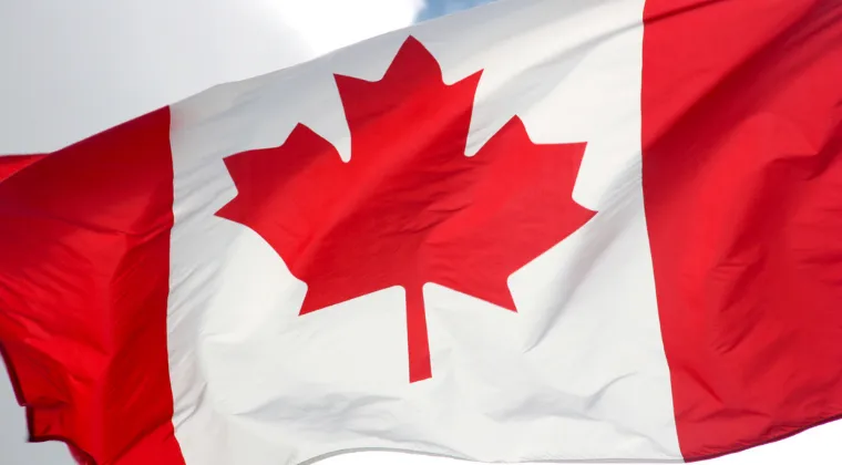 Health Canada GMP Inspectors Turning to Video, Teleconferencing;                           Three Case Studies Presented