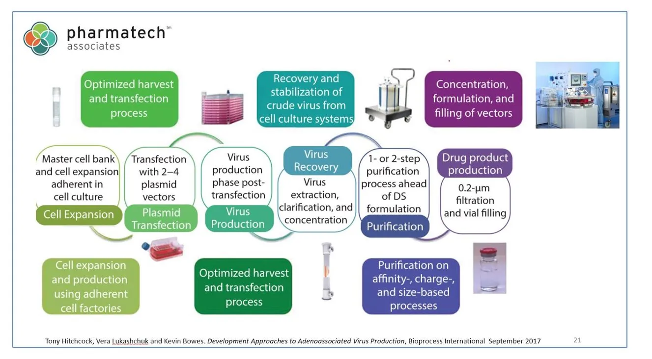 Figure 1 AAV Production Process