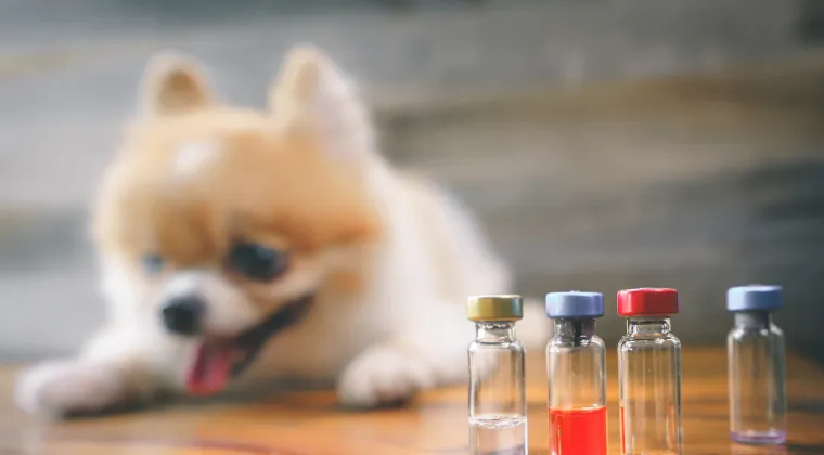 Facility Inspections Among FY2020 CVM Accomplishments