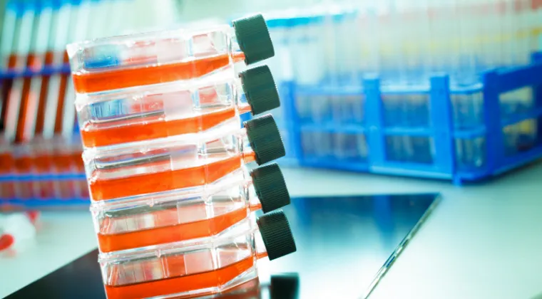 Overcoming CMC Complexity for Cell & Gene Products