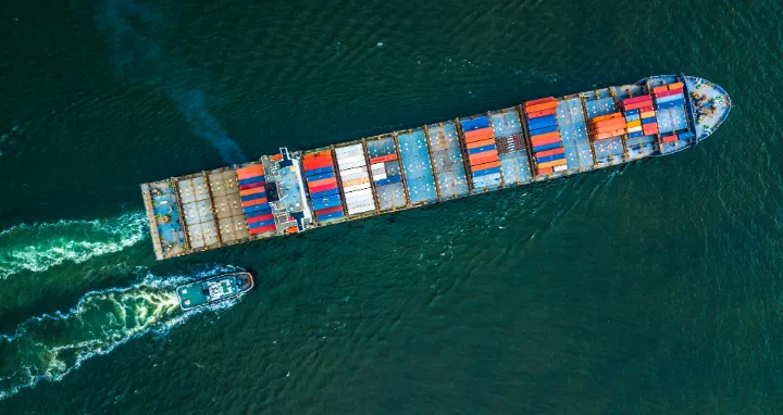 The Importance of Monitoring Import Alerts