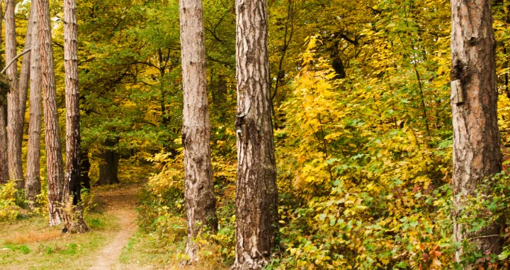 Follow the Trail to Find Data Integrity Problems