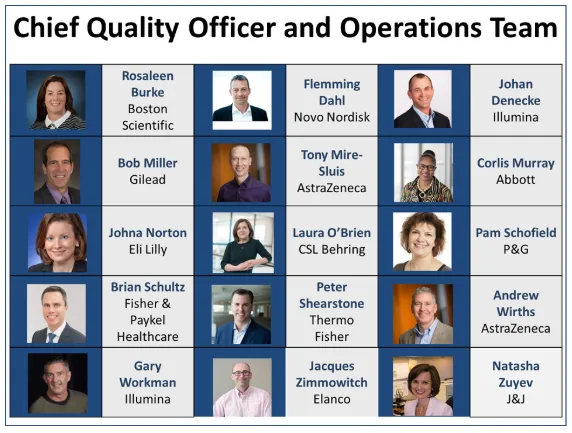 Quality Leadership Figure 1