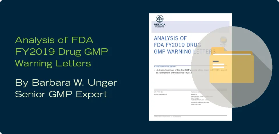 Analysis of FDA FY2019 Drug GMP Warning Letters