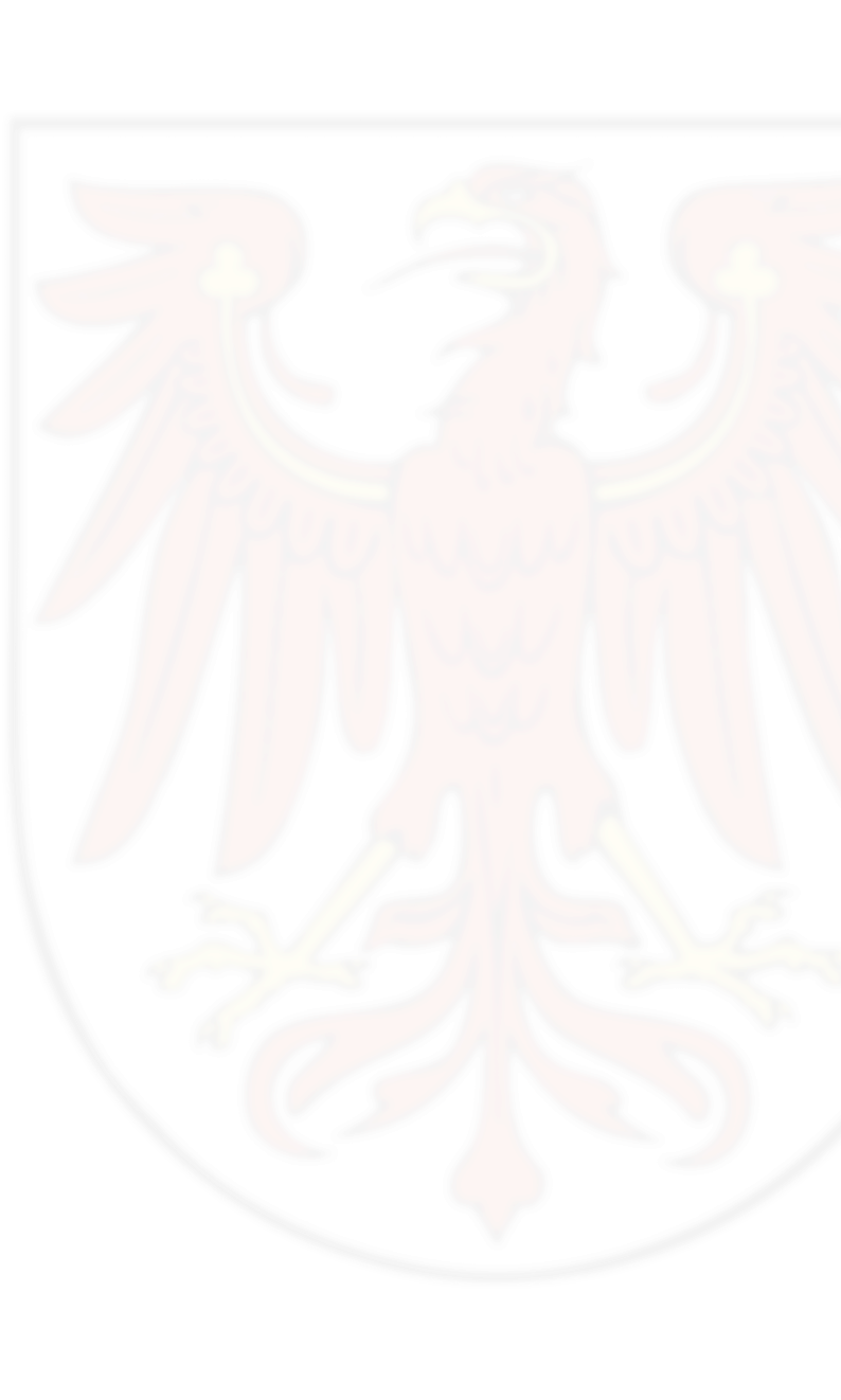 Roter Adler mit gelbem Schnabel und Klauen auf weißem Schild, das Wappen von Brandenburg.