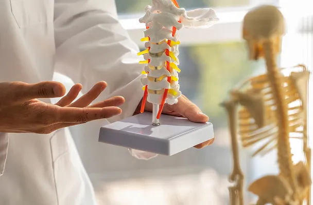Doctor holding and explaining a human spine model with a skeleton figure in the background.