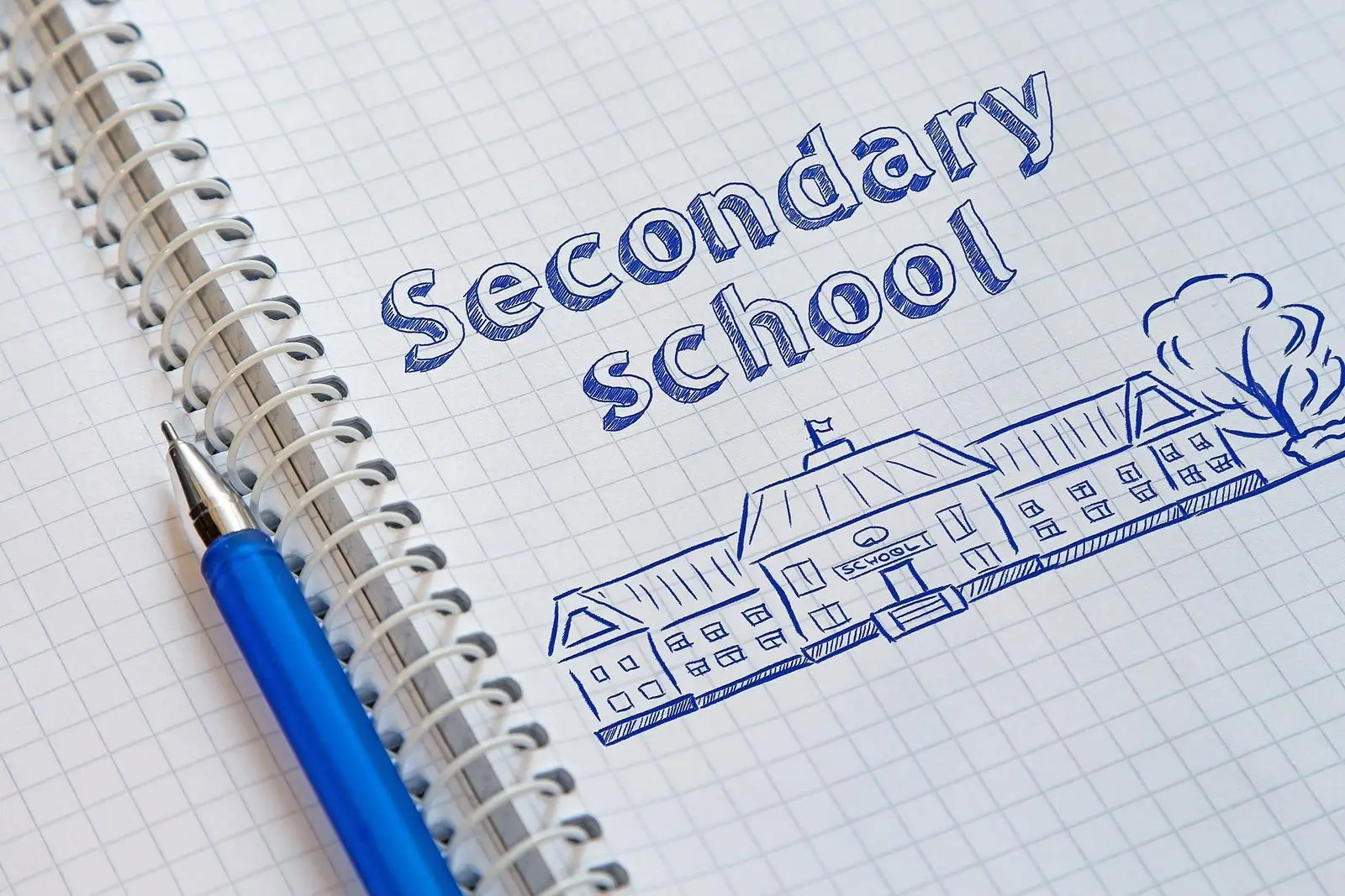 Hand drawn image of text saying - secondary school