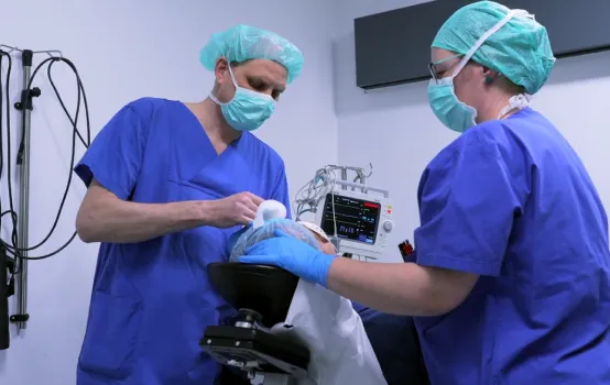 Zwei medizinische Fachkräfte in blauer Schutzkleidung und Masken bereiten einen liegenden Patienten im Operationssaal vor.