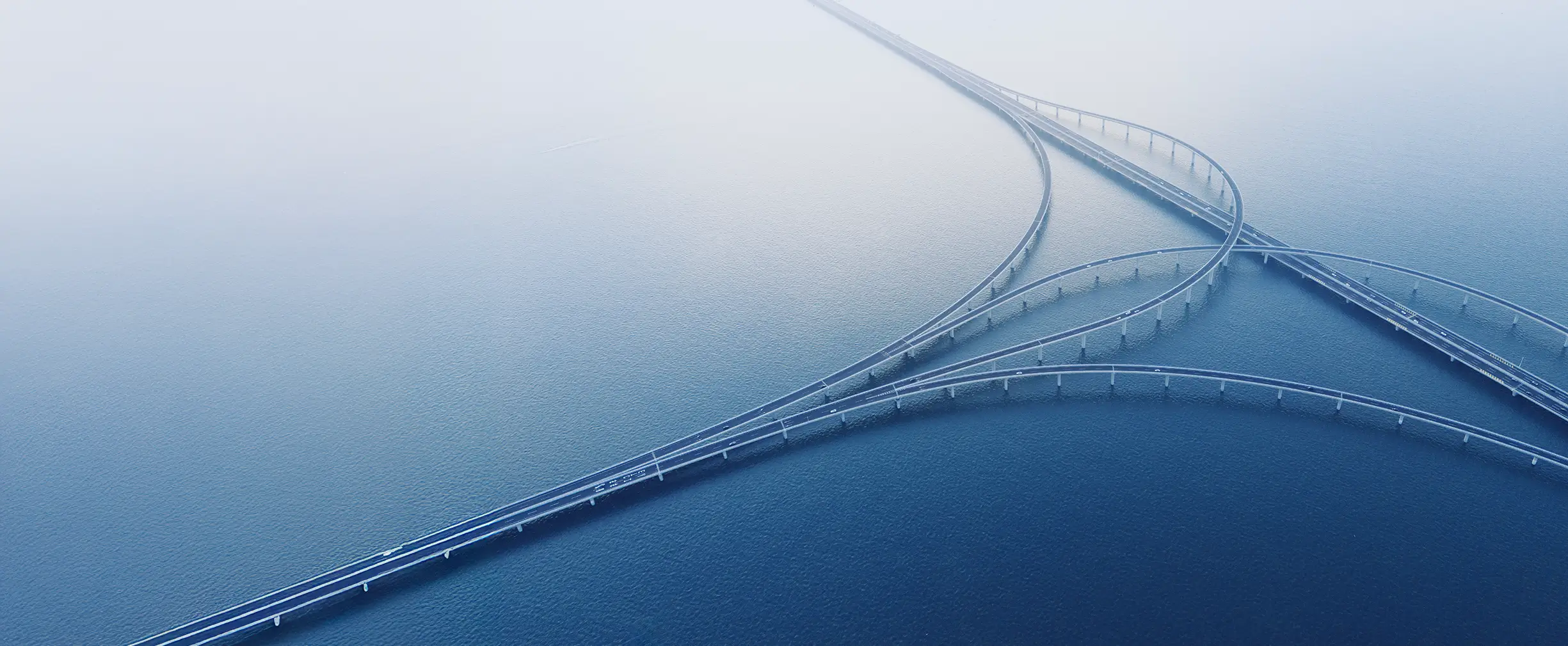 Team BDS - delivering growth and improved profitability bridge image