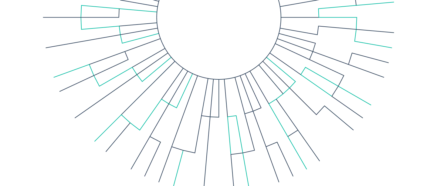 Radial tree diagram with branching lines in turquoise and dark blue extending outward from a central black circle on white background.