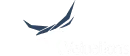 Velox Valuations company logo with stylized blue checkmark above the text.