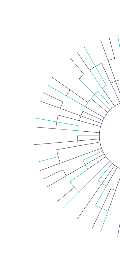 Circular dendrogram with branches in black and teal extending outward in a radial pattern from the center.