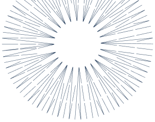 Symmetrical circular radial pattern composed of light blue evenly spaced lines and dots on a black background.
