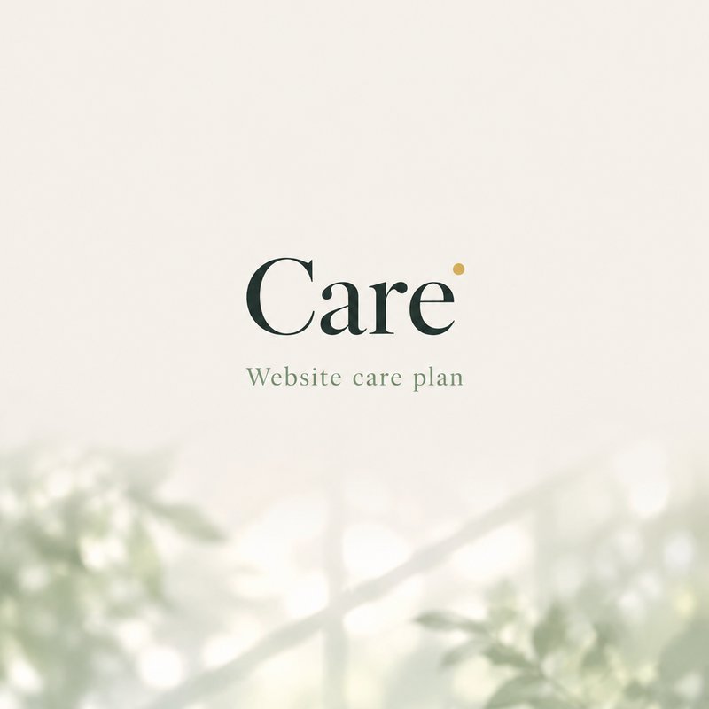 Care plan