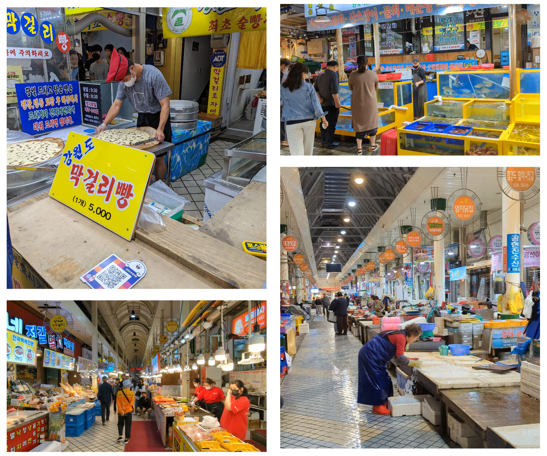 Un marché aux poissions en plein coeur de la vile de Sokcho