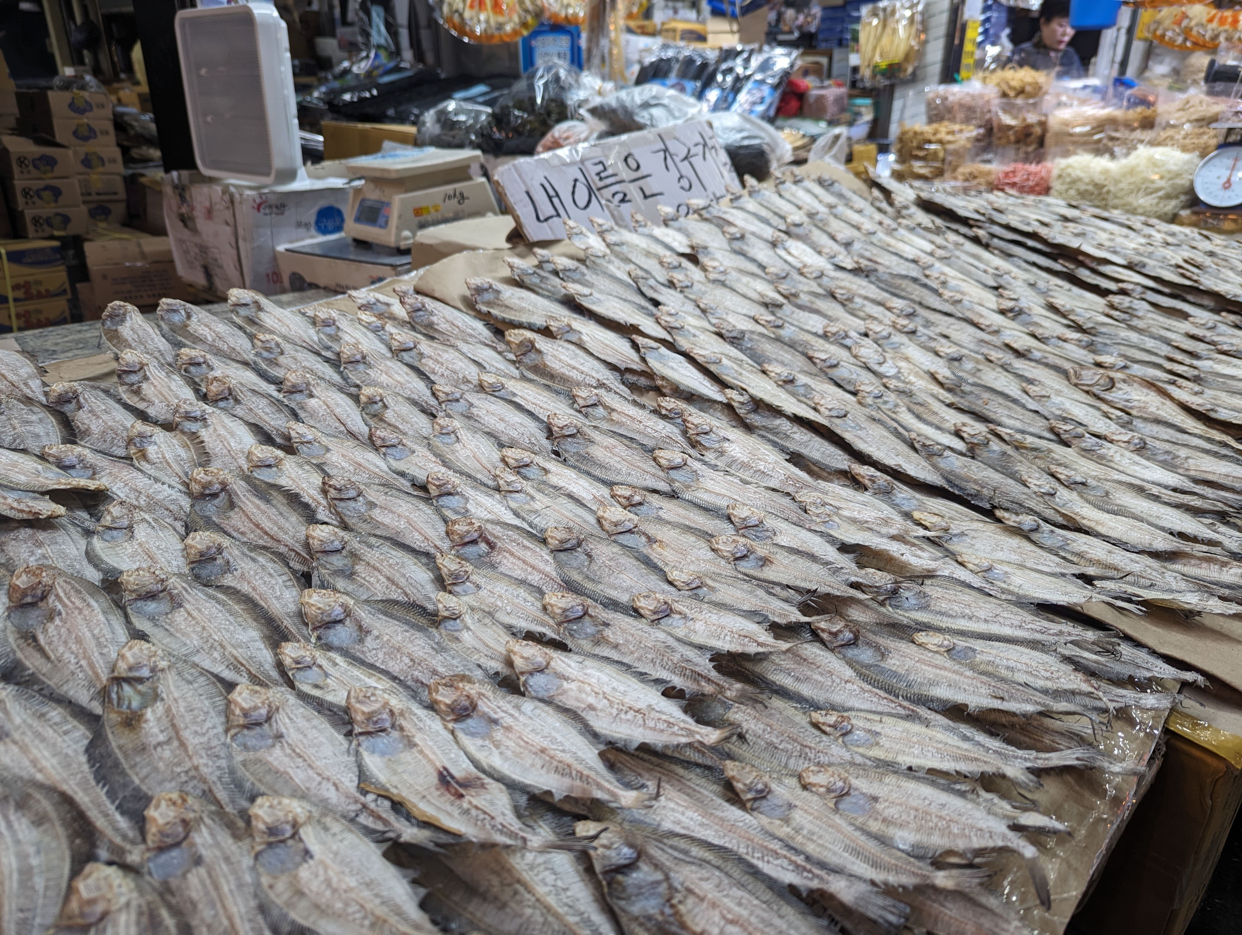 Le marché au poisson Jukdo à Pohang