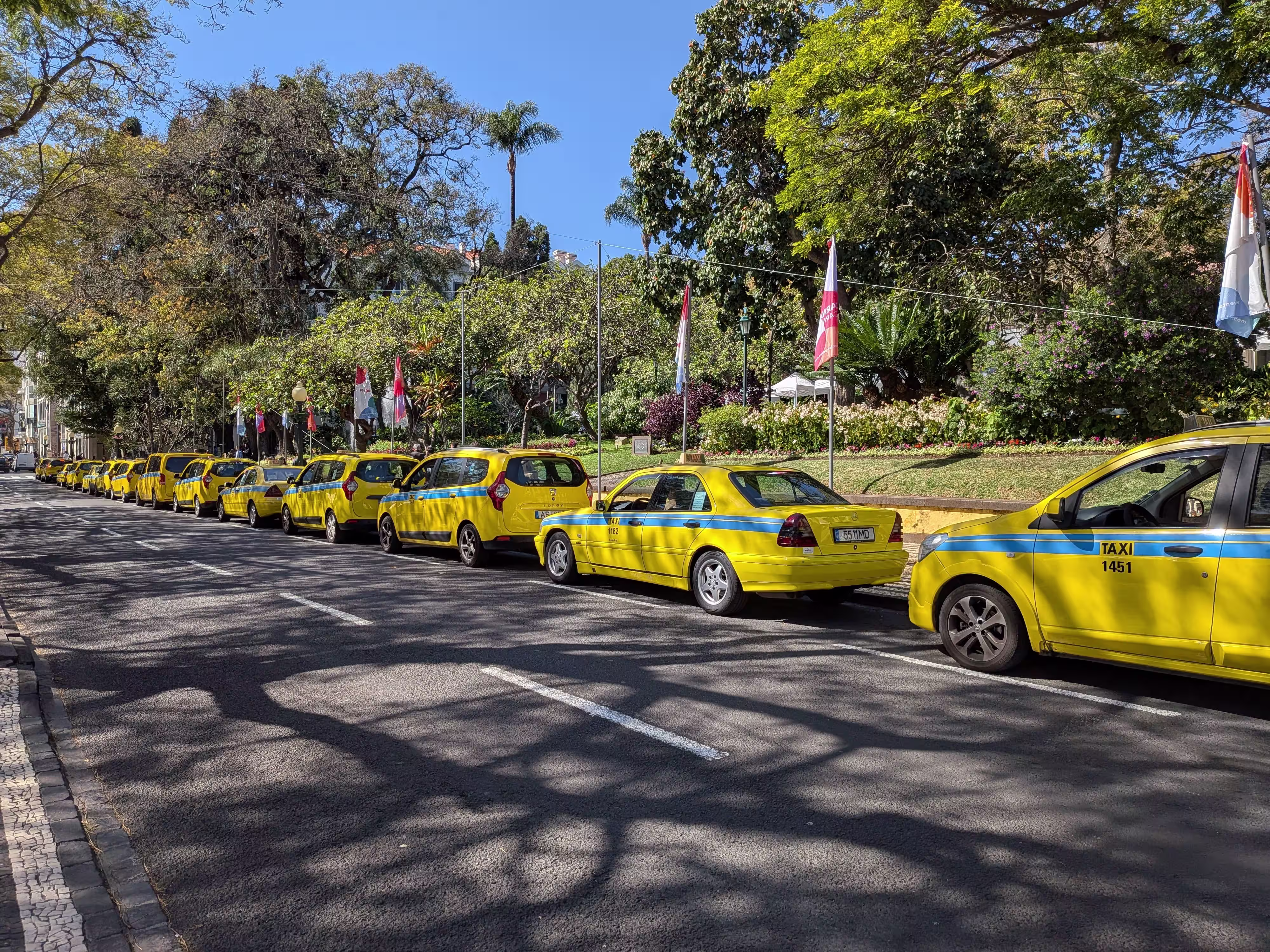 Une rangée de taxi jaune à Funchal, Madère