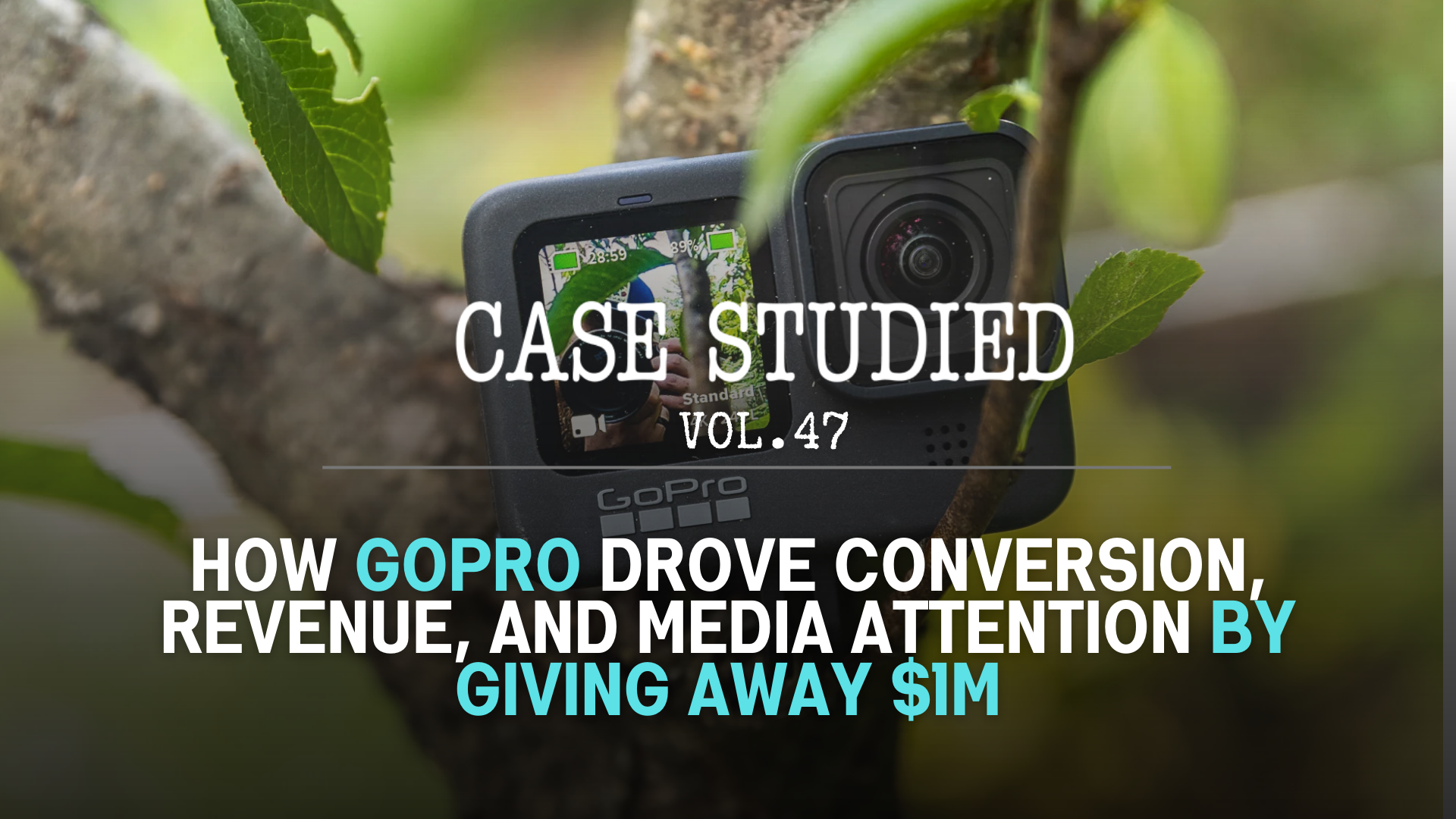 Vol 47. GoPro: Masters of UGC 🪂