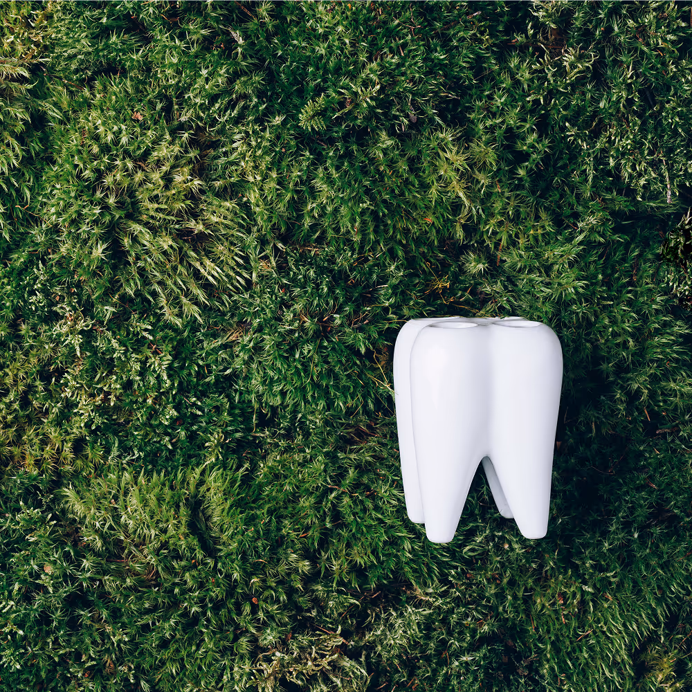 Biocompatible materials used in dentistry