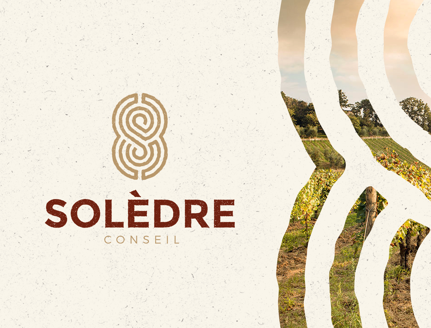 Solèdre Conseil, une identité visuelle enracinée dans le vignoble