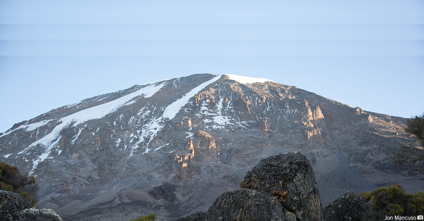 Tanzania Safari header image