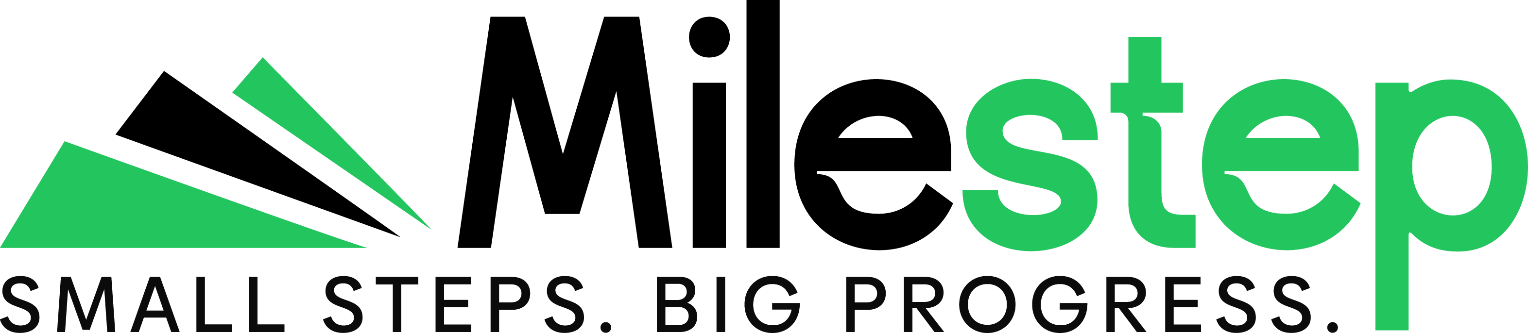Small Steps logo with green geometric shapes and the words 'Small Steps. Big Progress.'