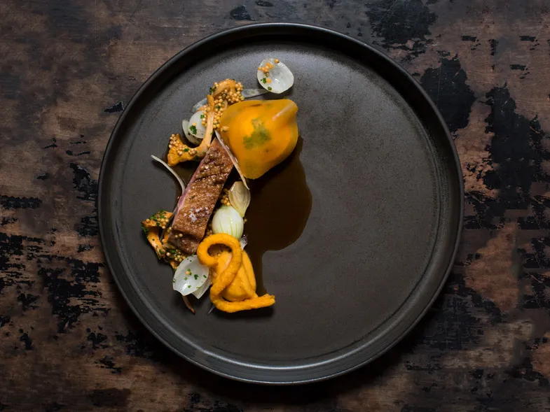 Ankbröst med pumpa, syltlök och senap