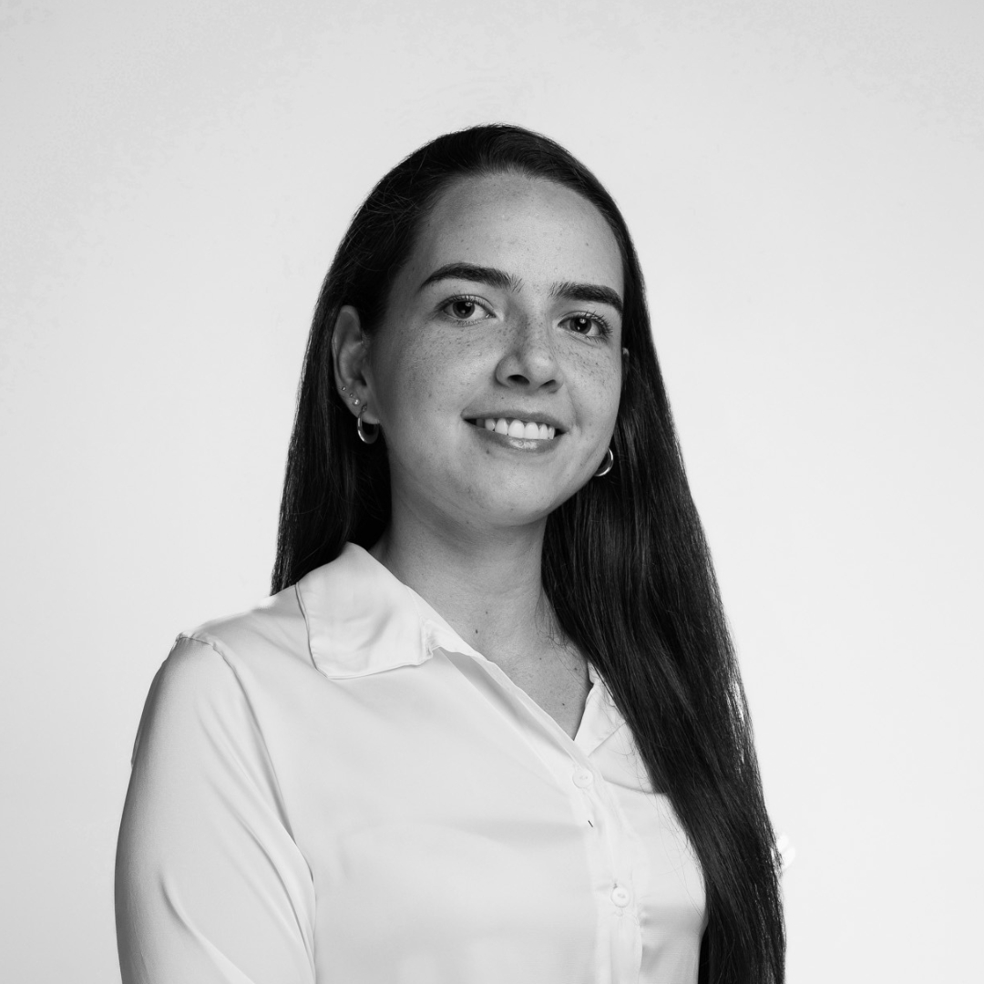 Team V1 Single Image