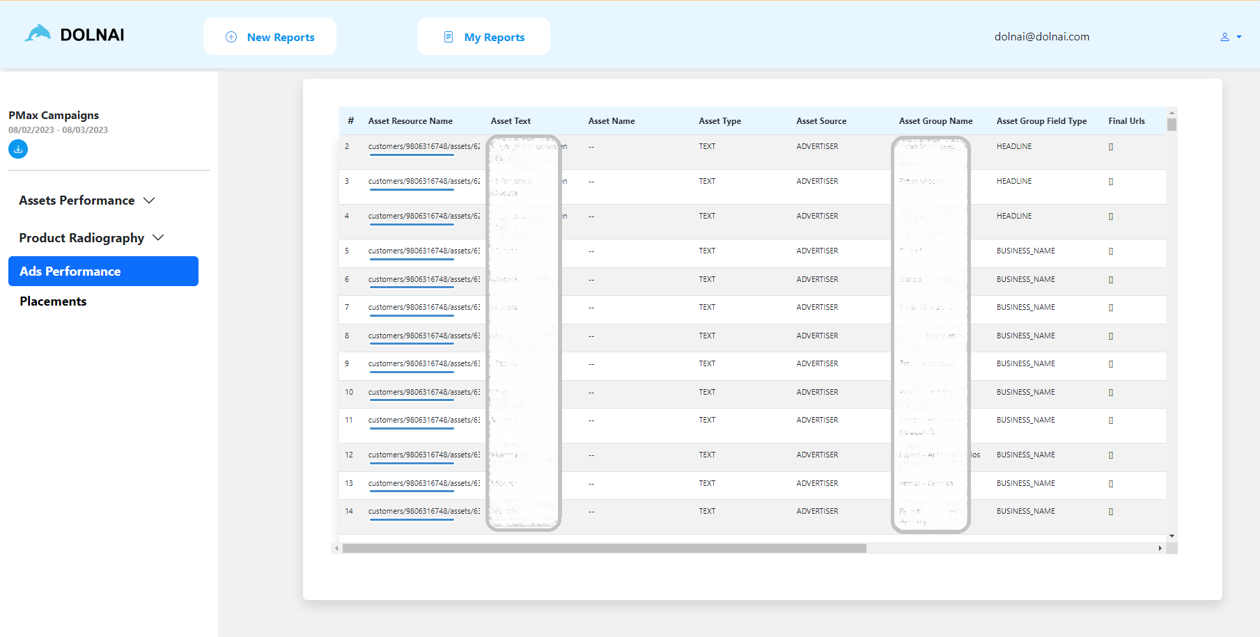 Dolnai Tool PMax Ads Performance
