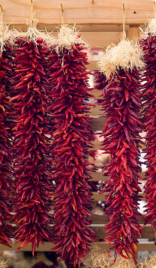 Several large bunches of red chili peppers tied with straw and hanging from a wooden beam.