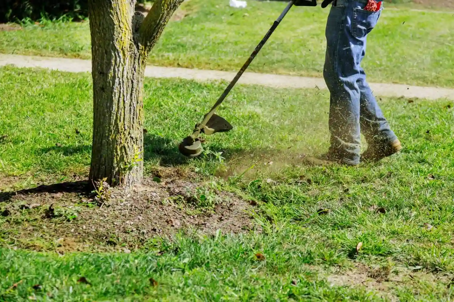 A person wearing blue jeans and work boots uses a string trimmer to cut grass around the base of a tree in a sunny yard