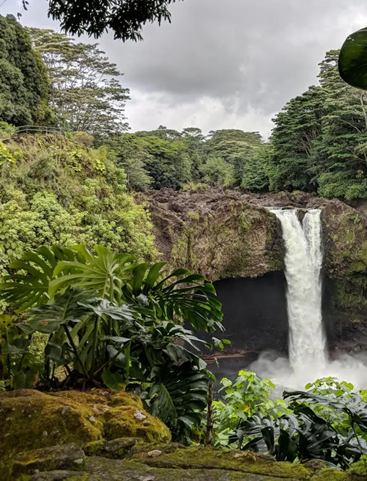 Cascata di acqua che scende da una parete rocciosa circondata da una rigogliosa vegetazione verde sotto un cielo nuvoloso.