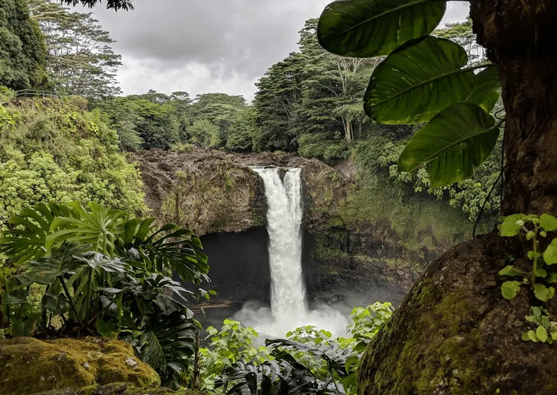 Cascata immersa in una foresta verde con grandi foglie tropicali in primo piano e cielo nuvoloso.