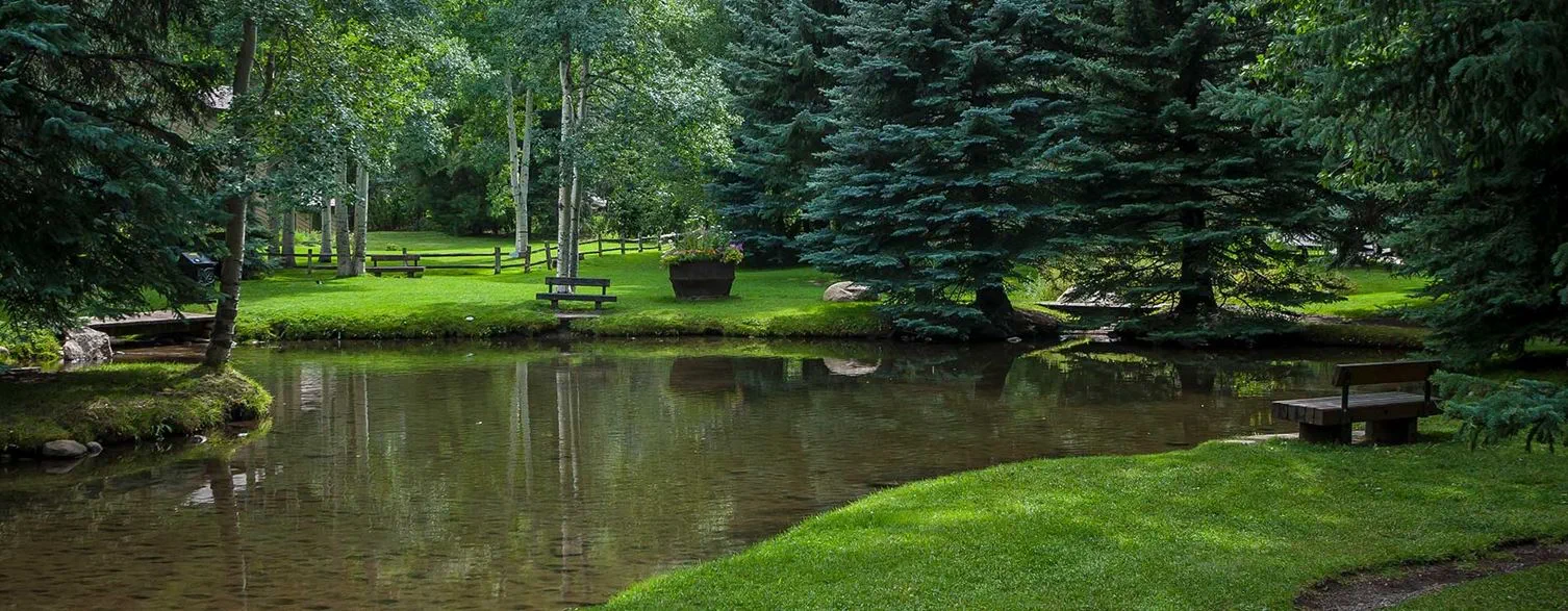 aspen food & wine classic 2023