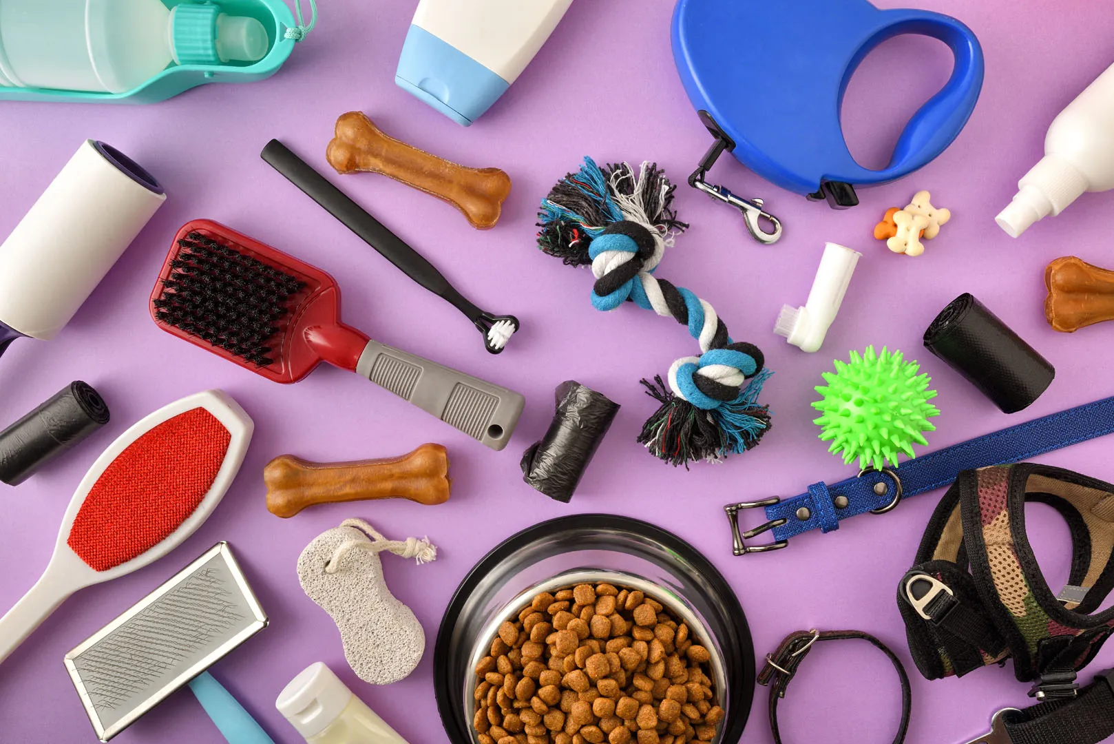 Assortment of dog care items on a purple background including dry kibble in a bowl, brushes, chew bones, a rope toy, collars, a leash, harness, waste bags, and grooming tools.
