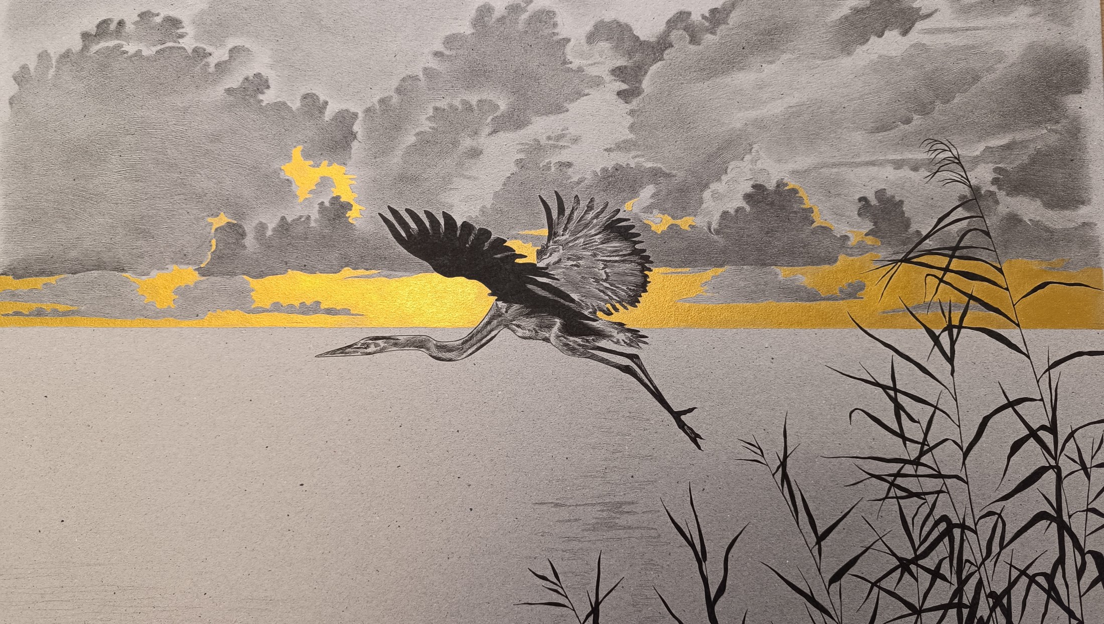 Drawing by Marty Matthys of a bird in flight above water, with a band of yellow light across the horizon.