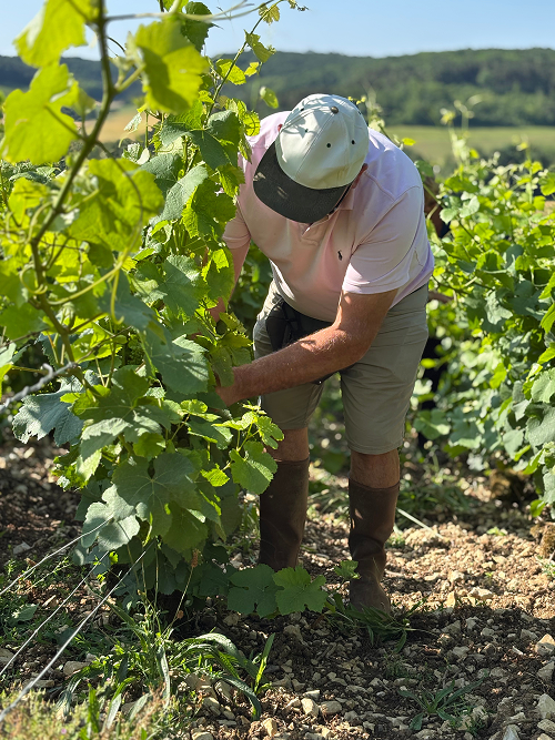 Close-up of chalk cliffs showing layers of light chalk and darker soil bands.