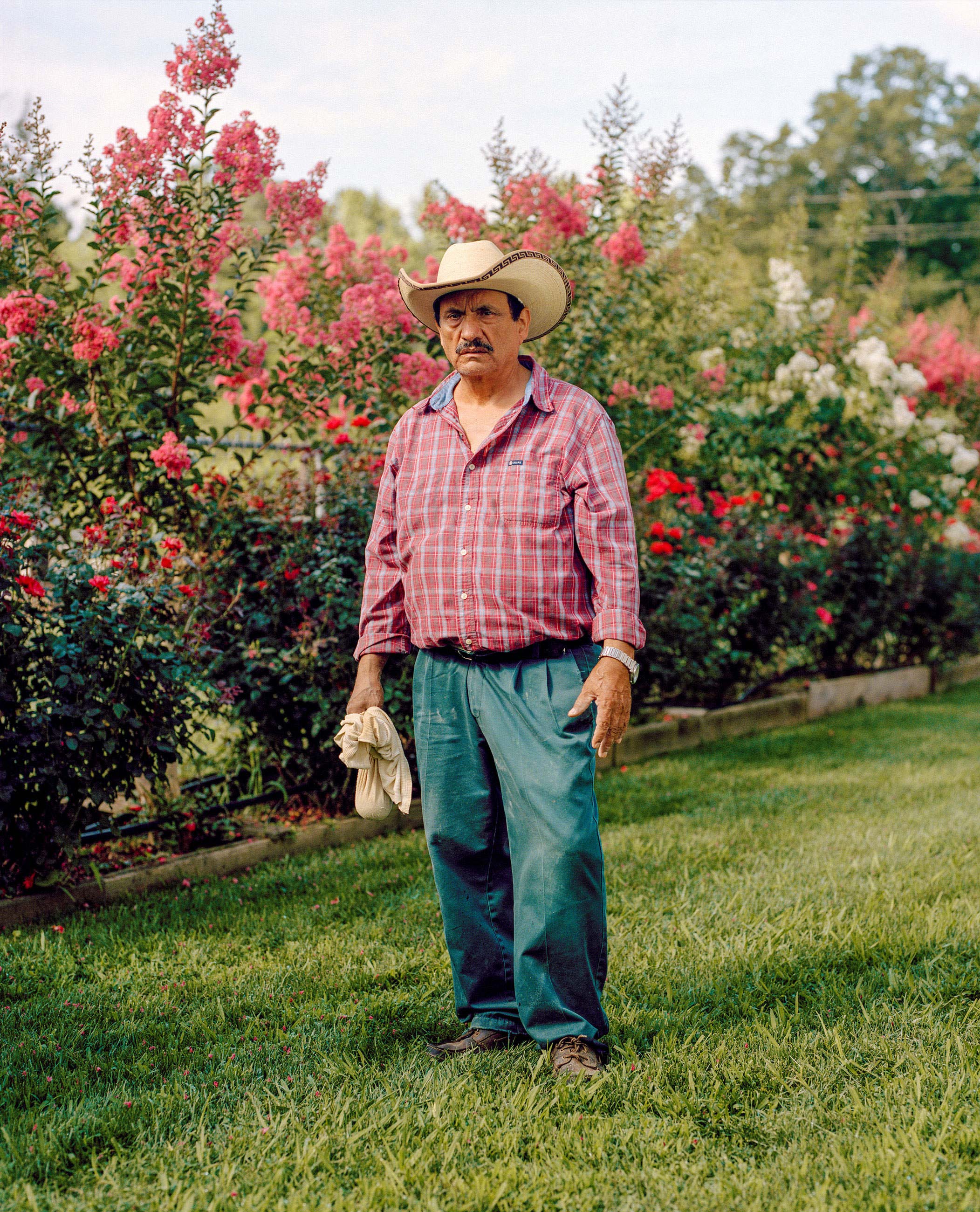 Man in a cowboy hat and plaid shirt standing on grass in front of bushes with red and white flowers.