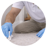 Man conducting an ERMI dust test to sample for. molds