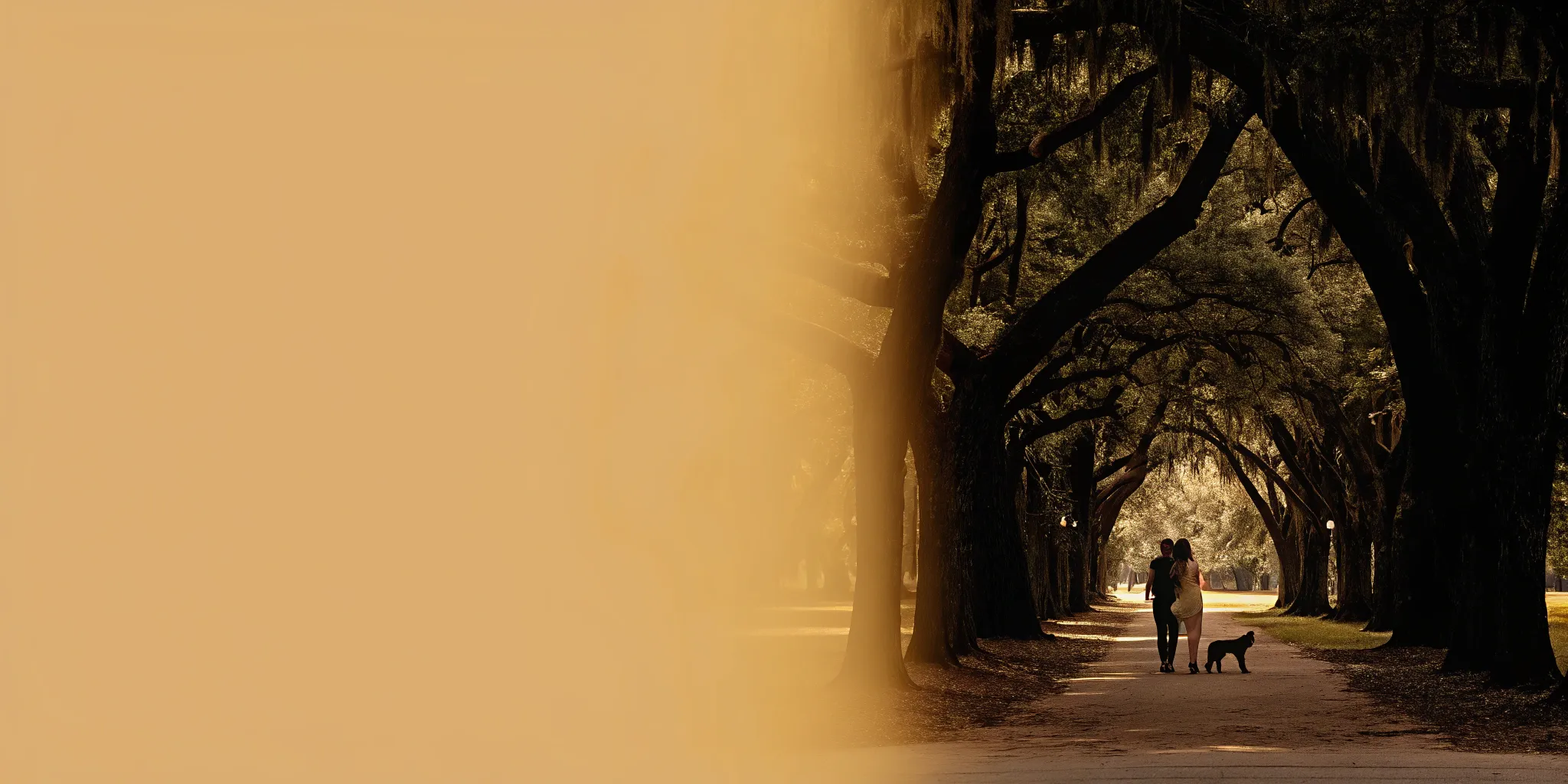 A dog owner in Savannah, GA, who needs a local dog bite attorney.